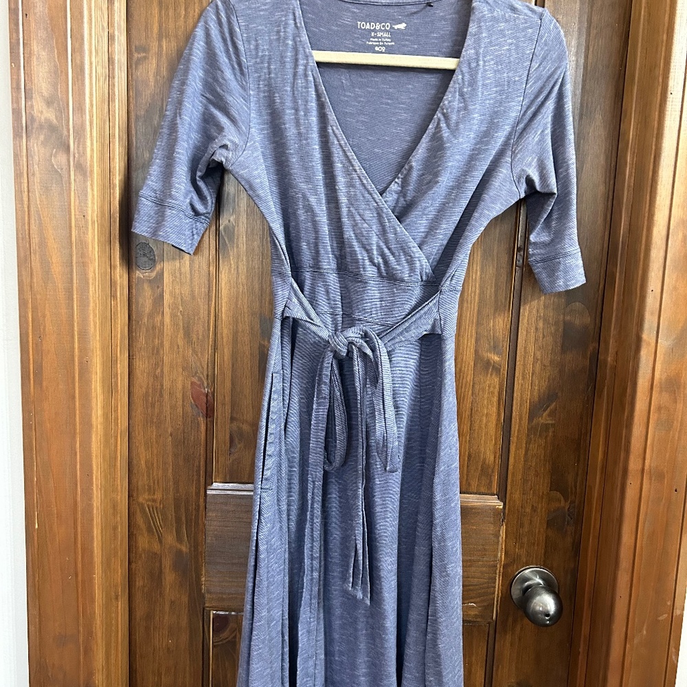 Toad & Co dress